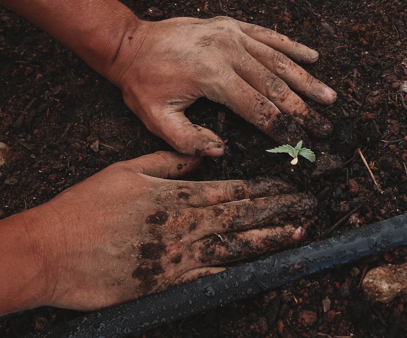 Landscaping